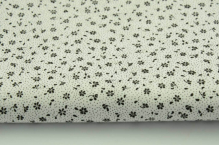 Czarna biała łąka