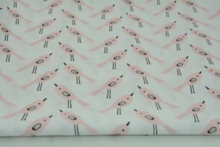 Koralowe ptaszki, białe tło