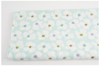 Kwiaty, miętowe tło