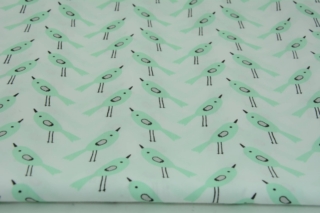 Miętowe ptaszki, białe tło